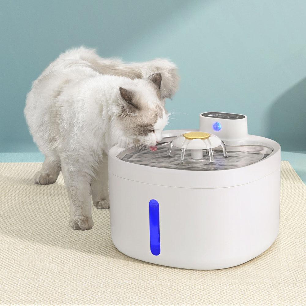 i.Pet Pet Water Fountain Feeder Dispenser Filter Dog Cat Drinking Automatic 2.6L - Harrogates