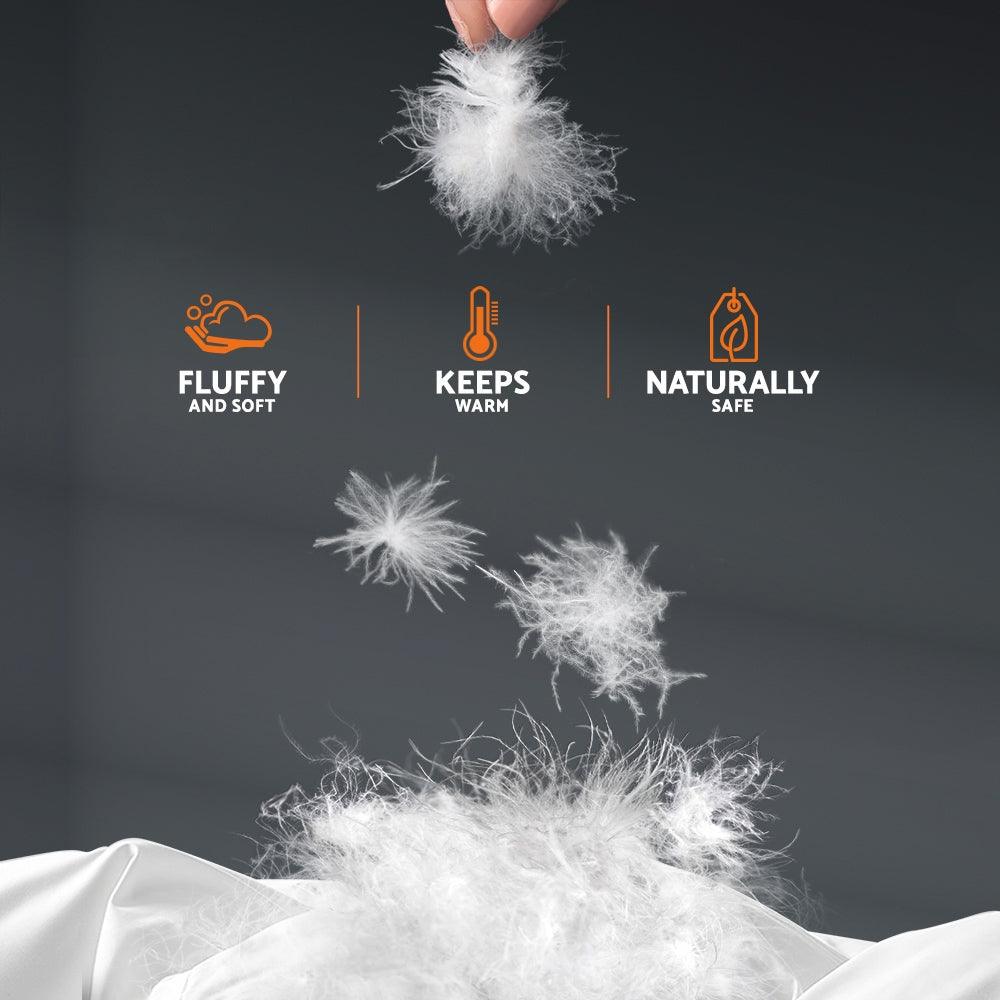 Giselle Bedding 800GSM Goose Down Feather Quilt Super King - Harrogates