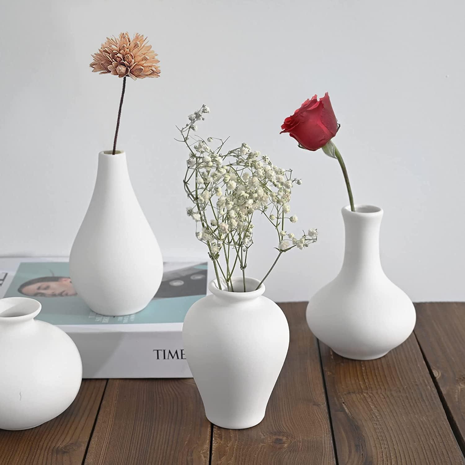 Ceramic Set of 5 White Vases for Home Decor