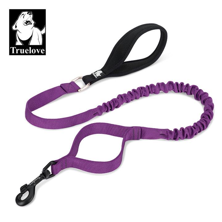 Military leash purple - L - Harrogates