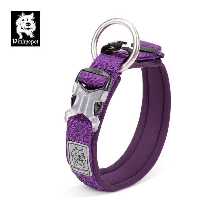 Whinhyepet Collar purple - S - Harrogates