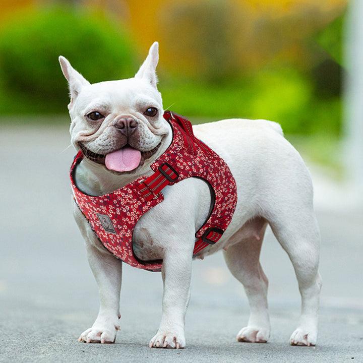 Floral Doggy Harness Red L - Harrogates