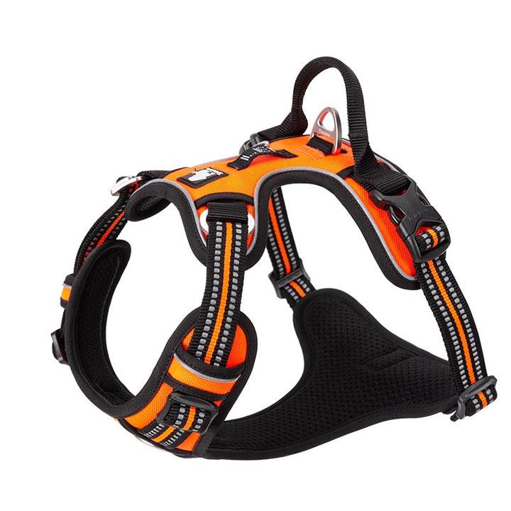 No Pull Harness Orange L - Harrogates