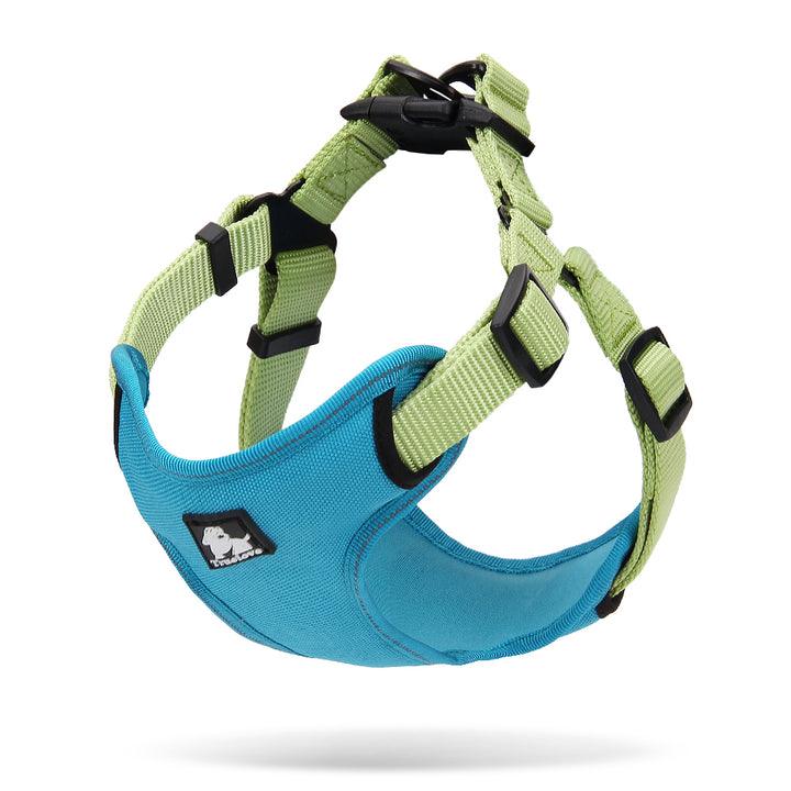 Urban Harness Blue/Green M - Harrogates