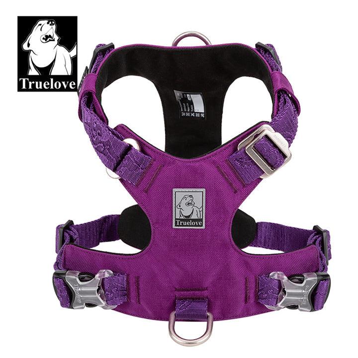 Lightweight Harness Purple 2XS - Harrogates