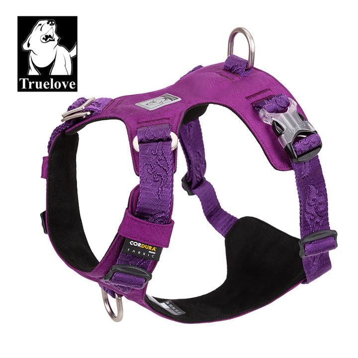 Lightweight Harness Purple S - Harrogates