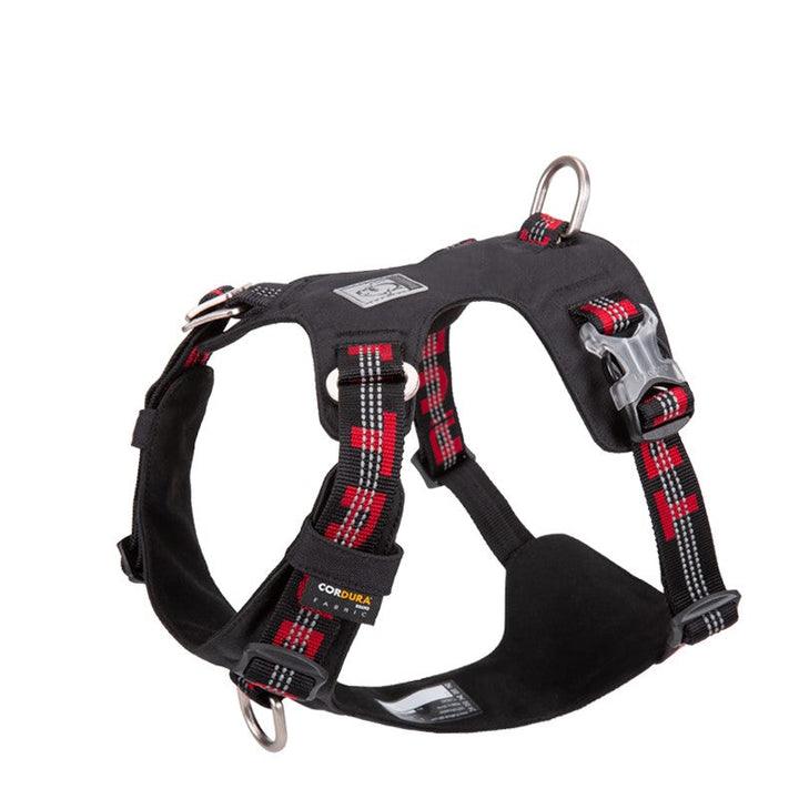 Lightweight 3M reflective Harness Black XS - Harrogates