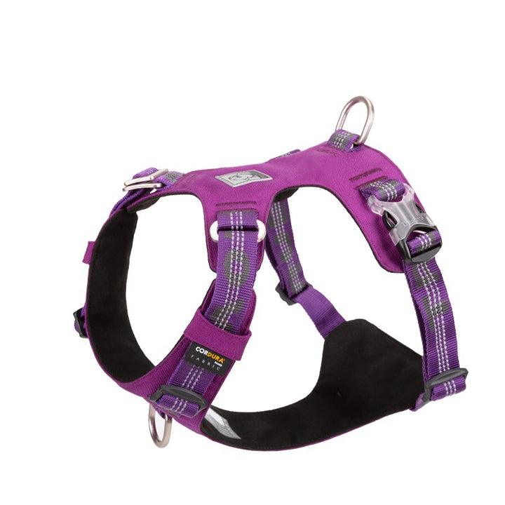 Lightweight 3M reflective Harness Purple XS - Harrogates