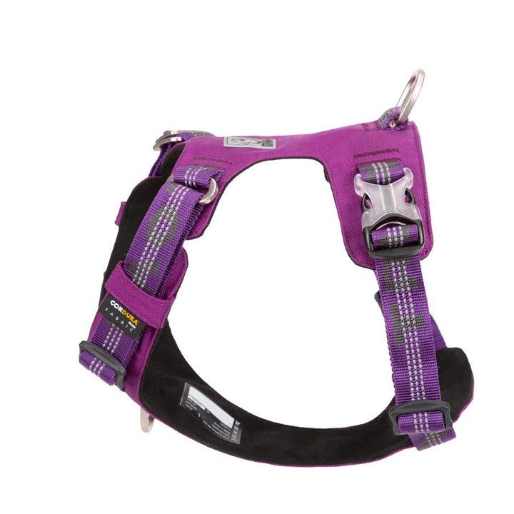 Lightweight 3M reflective Harness Purple XS - Harrogates