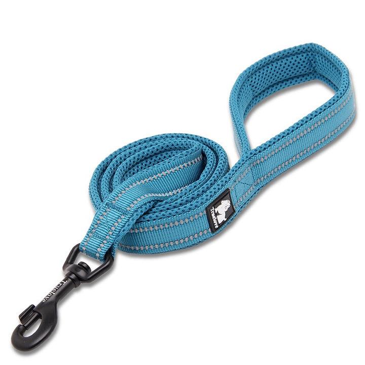 Reflective Pet Leash 2 meters Blue L - Harrogates