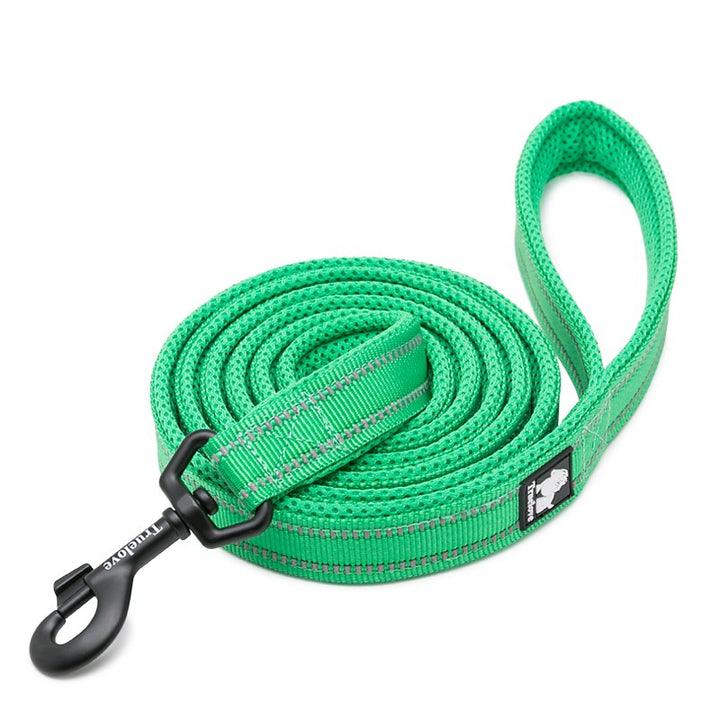 Reflective Pet Leash 2 meters Green L - Harrogates