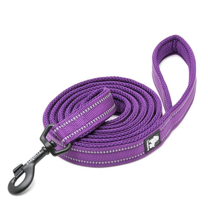 Reflective Pet Leash 2 meters Purple S - Harrogates