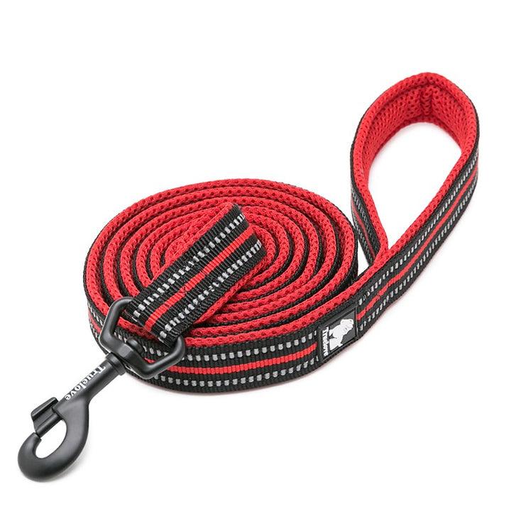 Reflective Pet Leash 2 meters Red XS - Harrogates