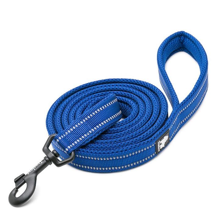 Reflective Pet Leash 2 meters Royal Blue L - Harrogates