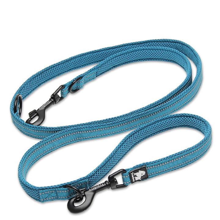 Function Leash Blue L - Harrogates