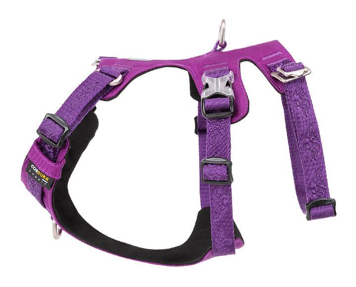 Whinhyepet Harness Purple L - Harrogates