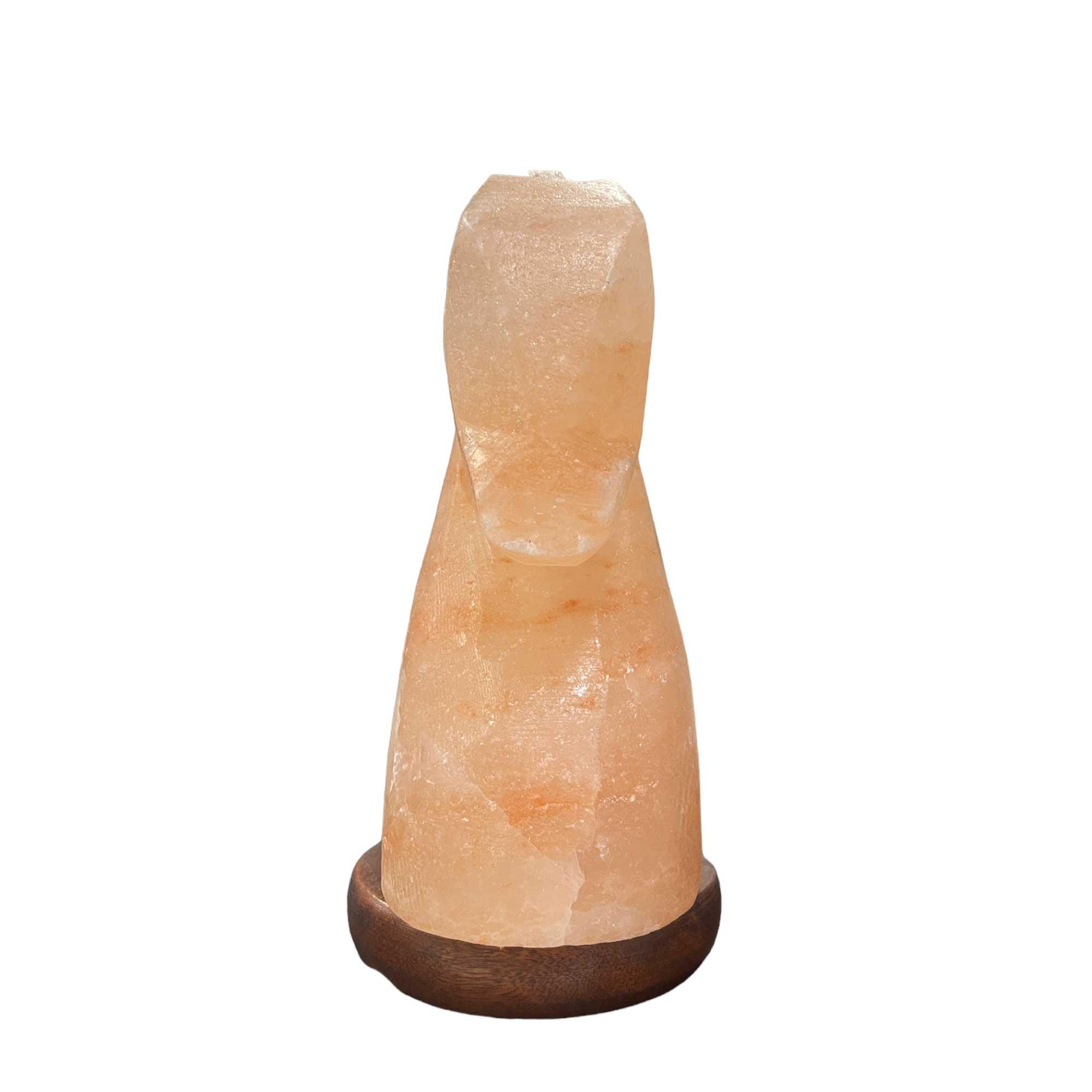 12V 12W Horse Himalayan Pink Salt Lamp Carved Knight Rock Crystal Light Bulb On/Off - Harrogates
