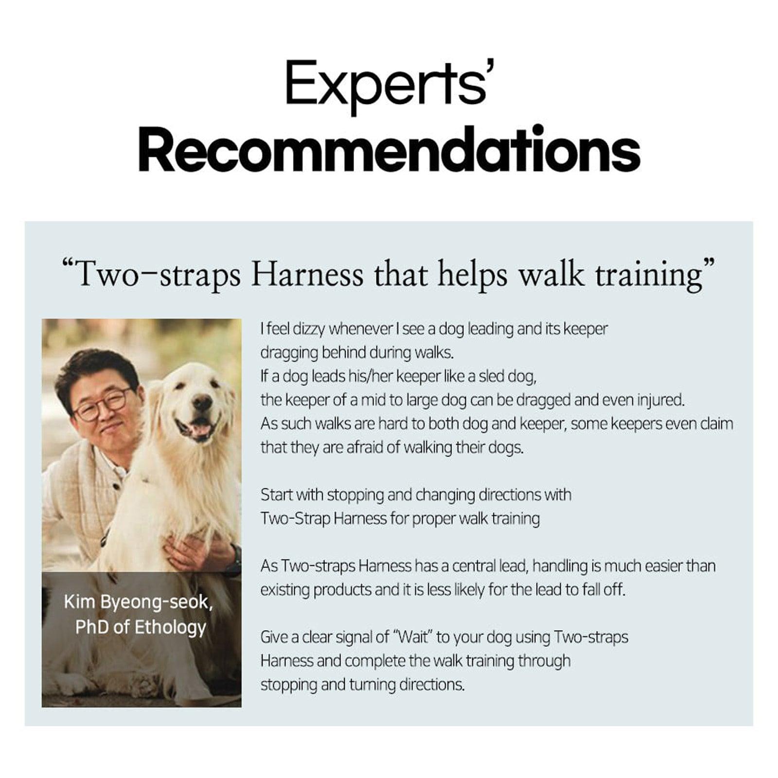 Dog Double-Lined Straps Harness Adjustable L MARBLE PINK - Harrogates