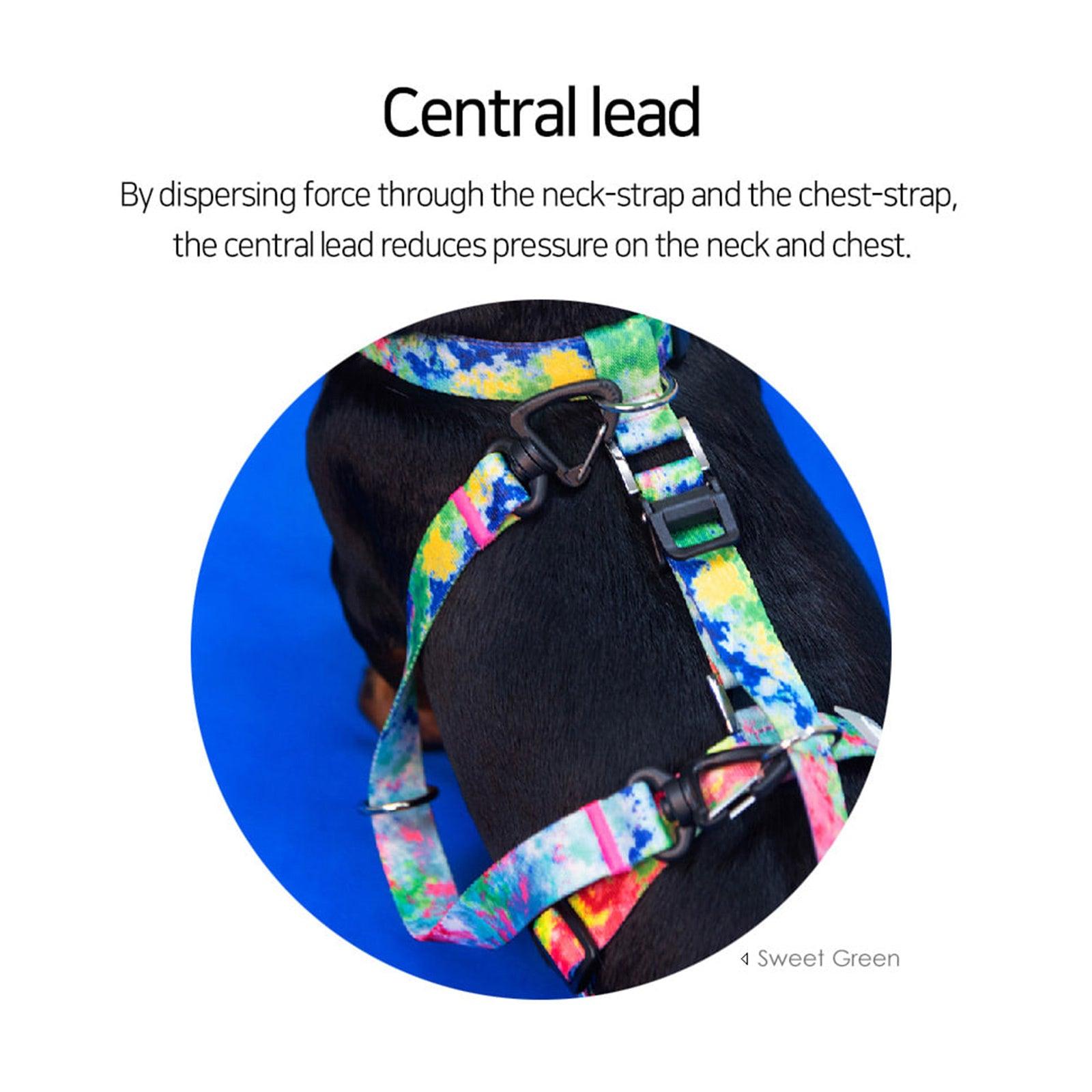 Dog Double-Lined Straps Harness Adjustable S SWEET GREEN - Harrogates