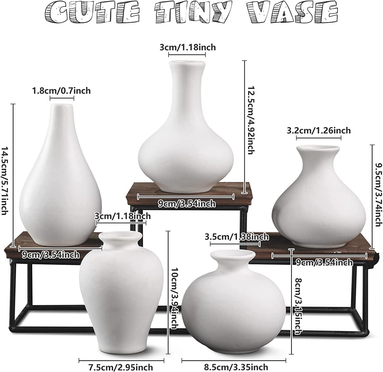 Ceramic Set of 5 White Vases for Home Decor