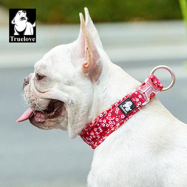 Floral Collar Poppy Red 3XL - Harrogates