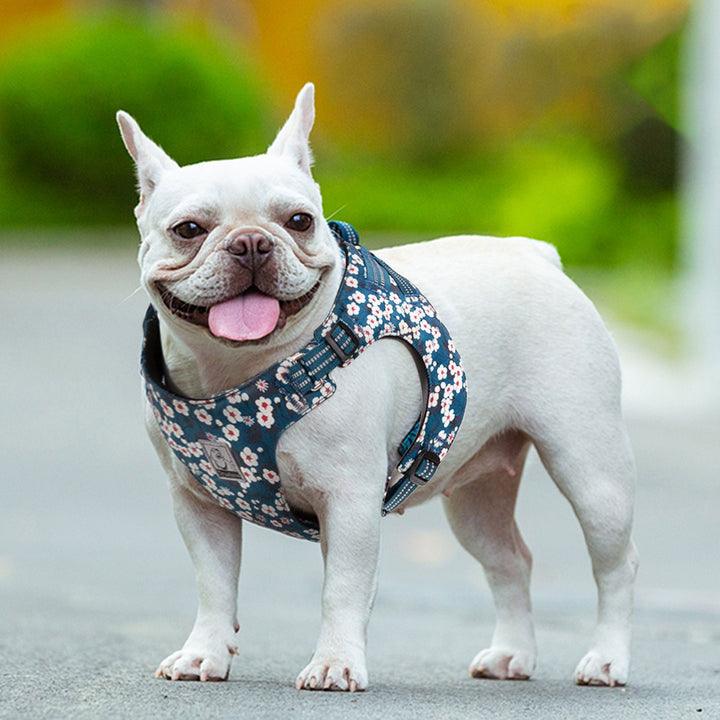 Floral Doggy Harness Saxony Blue L - Harrogates