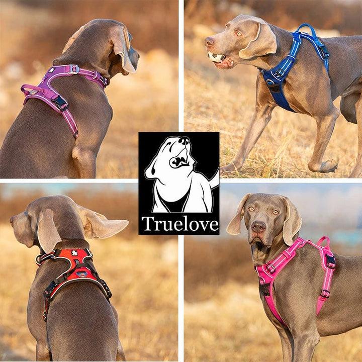 No Pull Harness Brown M - Harrogates
