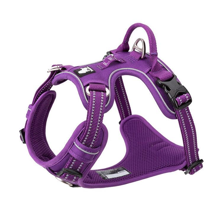 No Pull Harness Purple XS - Harrogates