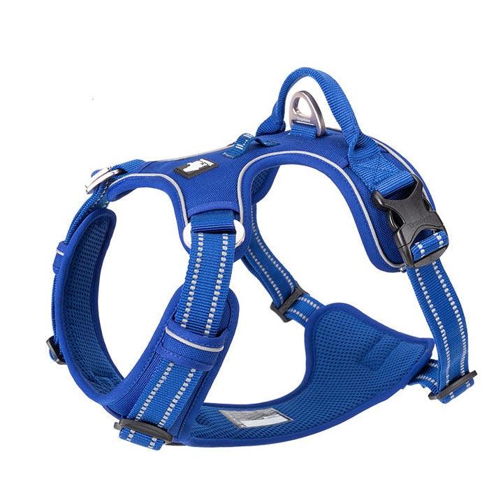 No Pull Harness Royal Blue L - Harrogates