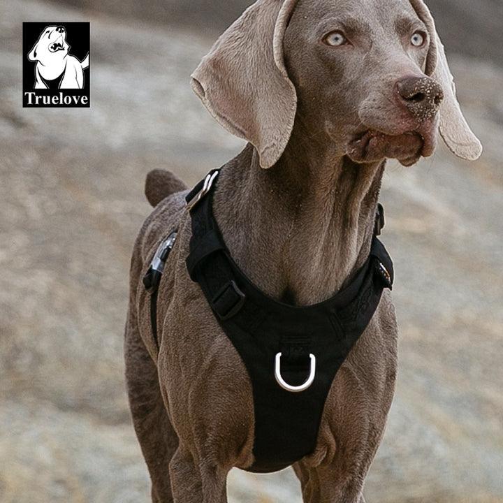 Lightweight Harness Black S - Harrogates