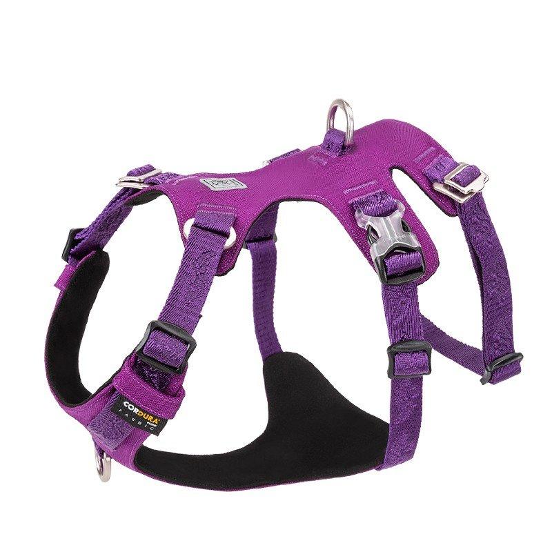 Whinhyepet Harness Purple L - Harrogates