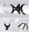 Whinhyepet Harness Black XS - Harrogates