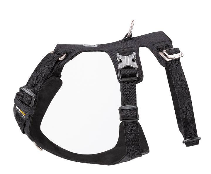 Whinhyepet Harness Black XS - Harrogates