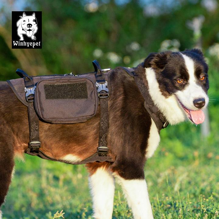 Whinhyepet Military Harness Black L - Harrogates