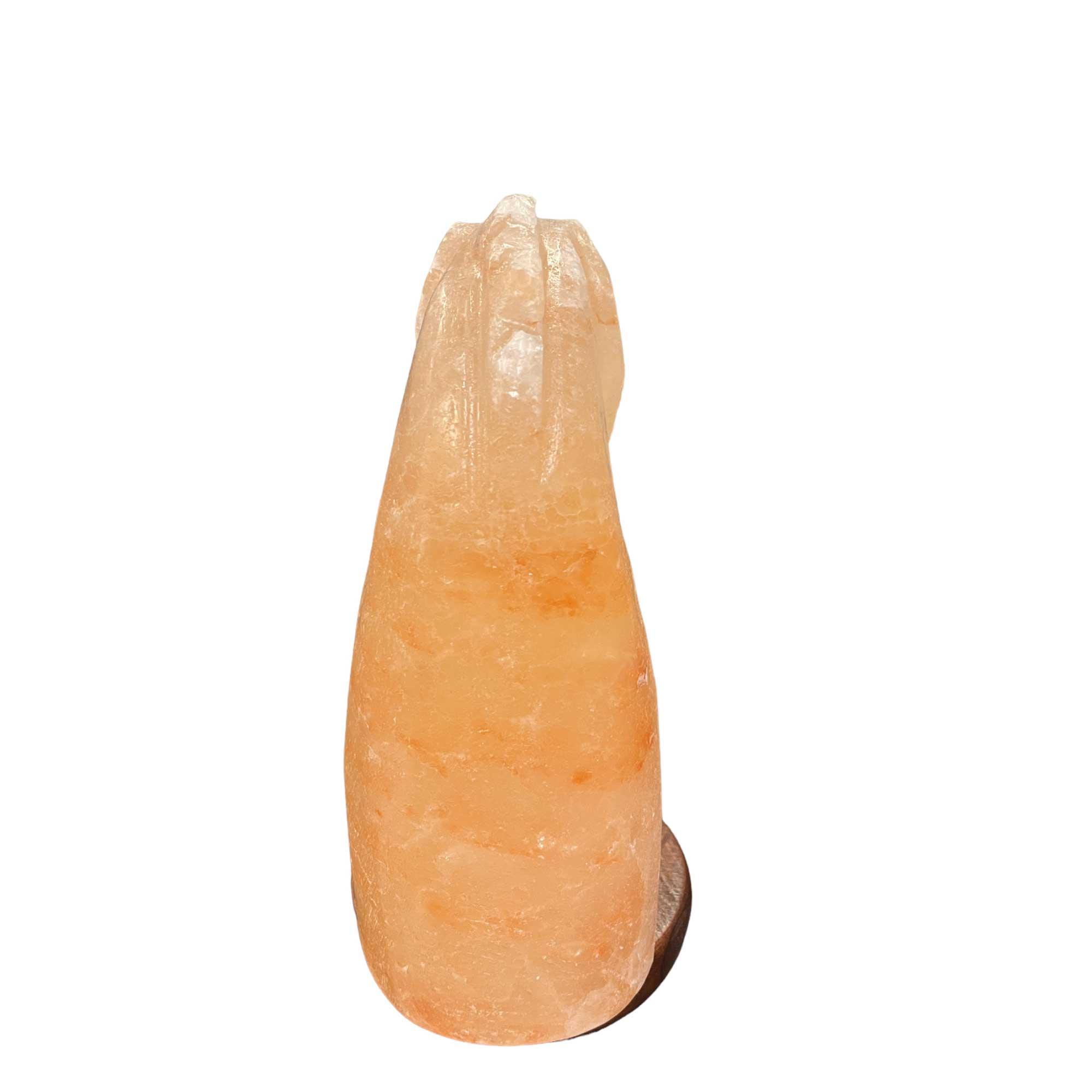 12V 12W Horse Himalayan Pink Salt Lamp Carved Knight Rock Crystal Light Bulb On/Off - Harrogates