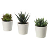3 Pack of Artificial Succulent Potted Plants in White Plastic 6cm Pot Interior Decoration - Harrogates