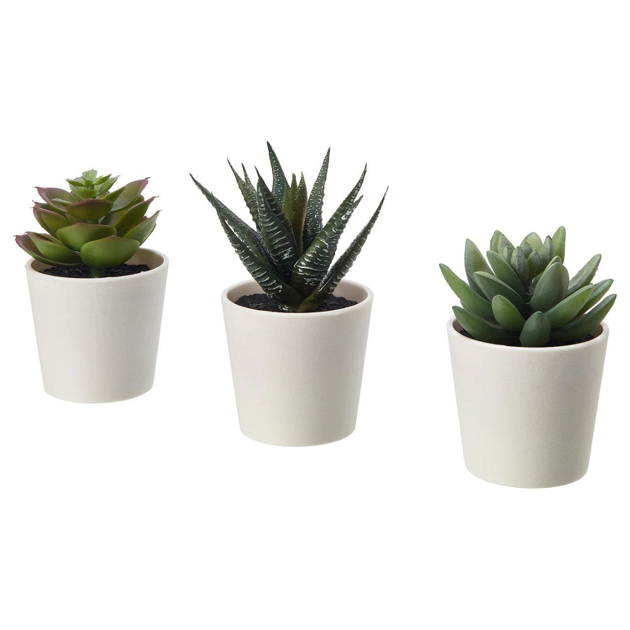 3 Pack of Artificial Succulent Potted Plants in White Plastic 6cm Pot Interior Decoration - Harrogates