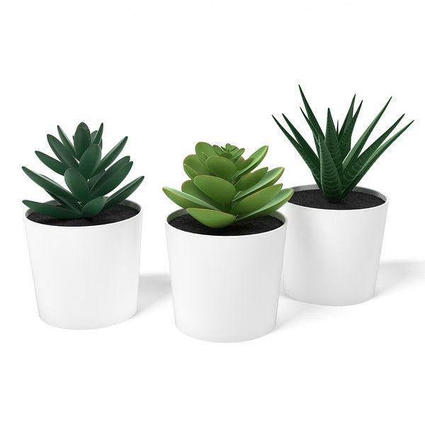 3 Pack of Artificial Succulent Potted Plants in White Plastic 6cm Pot Interior Decoration - Harrogates