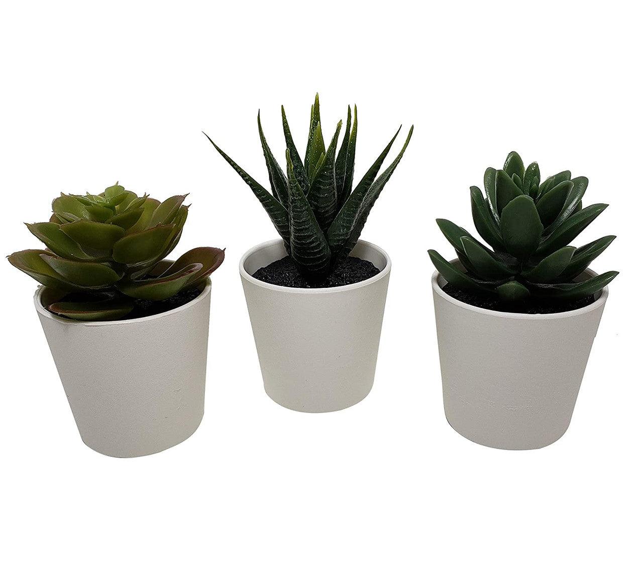 3 Pack of Artificial Succulent Potted Plants in White Plastic 6cm Pot Interior Decoration - Harrogates