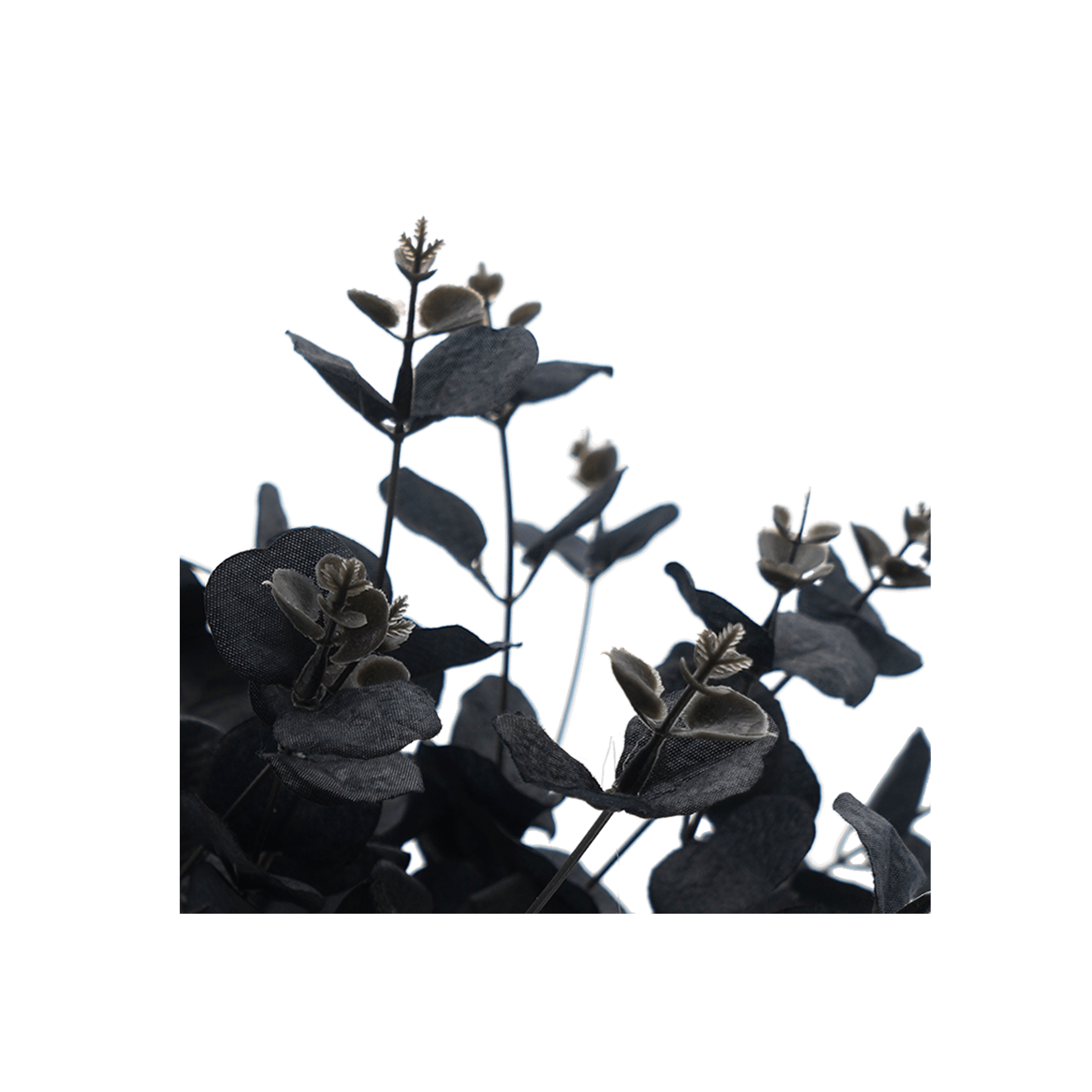 Faux Nordic Black Eucalyptus Leaf Stem - Harrogates