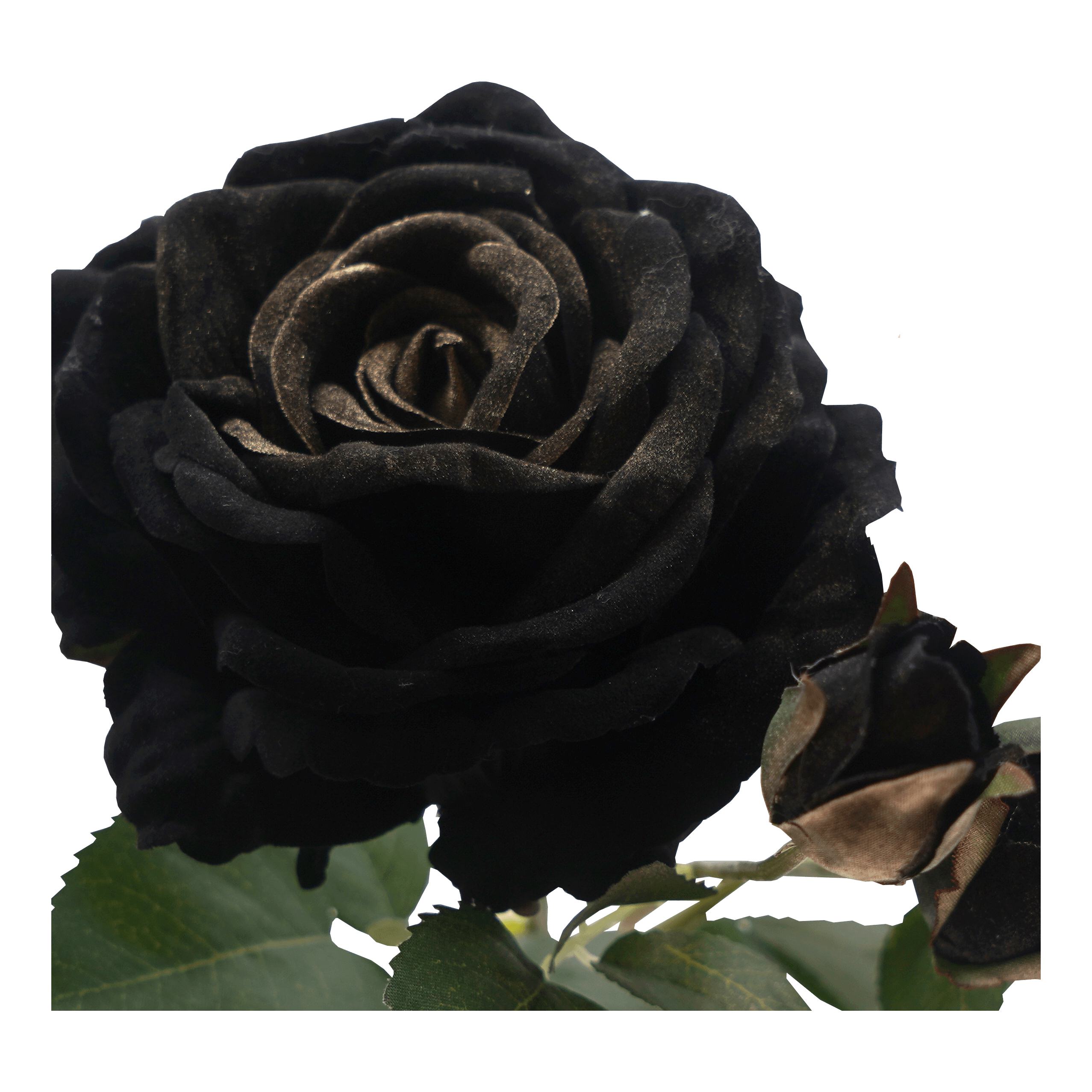 Faux Rose Stem - Harrogates
